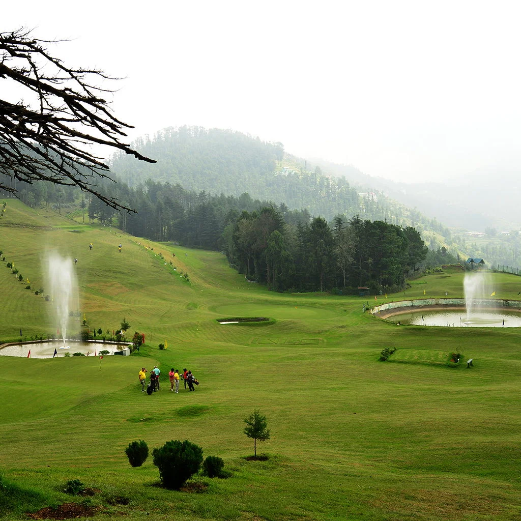 THE GOLF COURSE