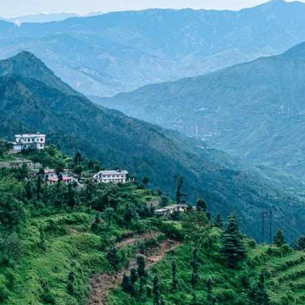 JAU BAGH