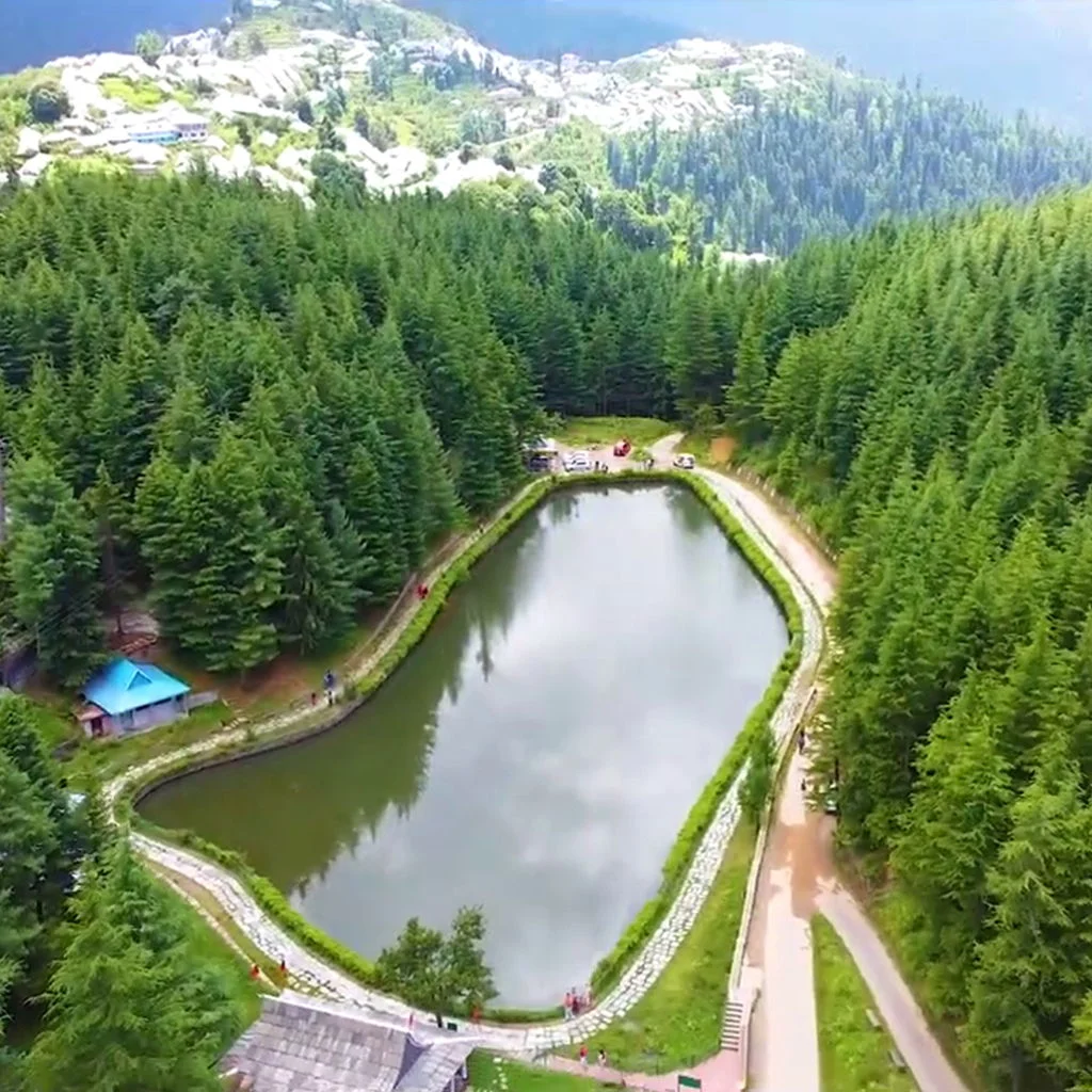 Tani Jubbar