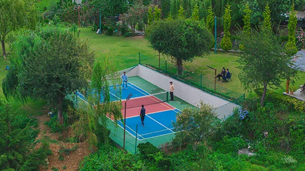 Pickle Ball