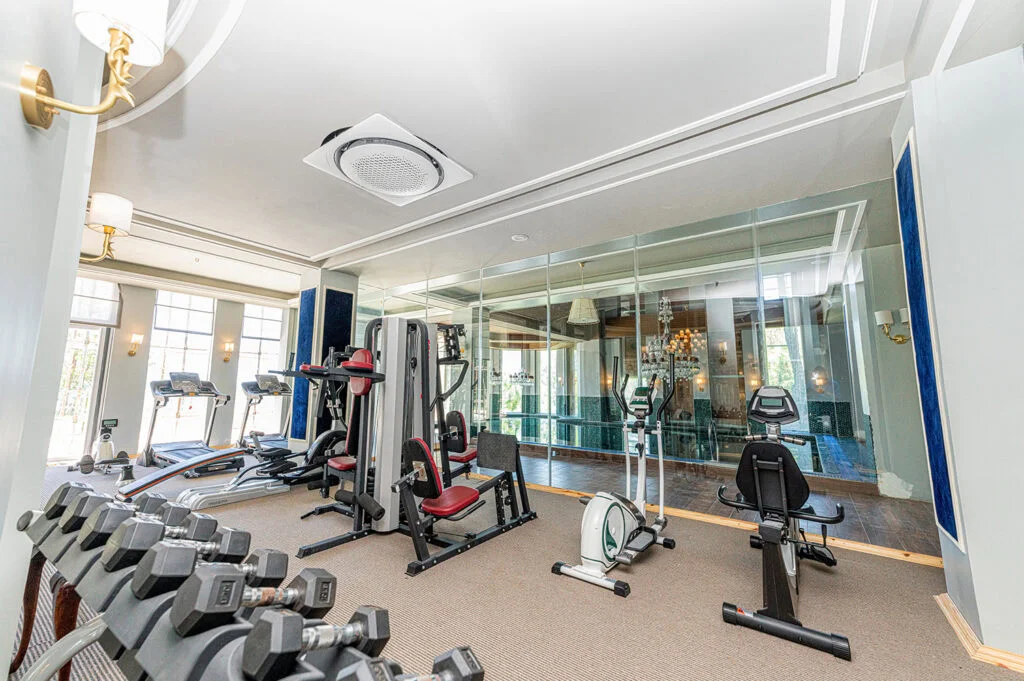 Gymnasium