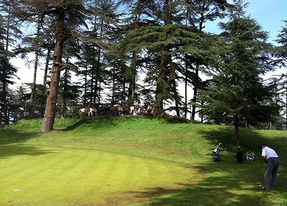 golf-course-naldehra-shimla golf-course-naldehra-shimla