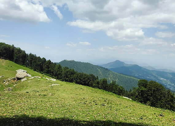 jau-bagh-narkanda jau-bagh-narkanda