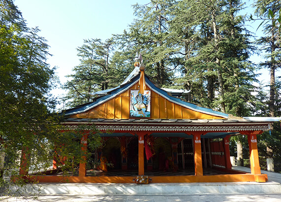 mahamaya-temple-narkanda mahamaya-temple-narkanda