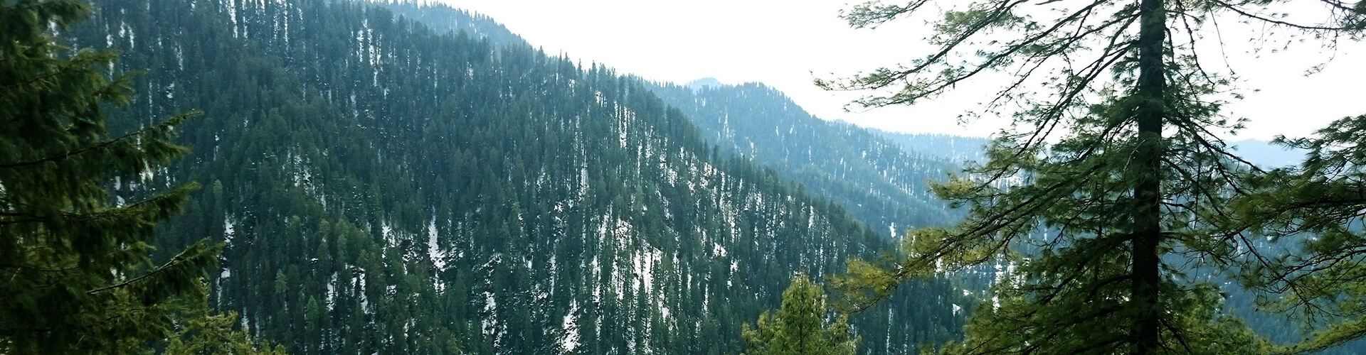 narkanda-shimla narkanda-shimla
