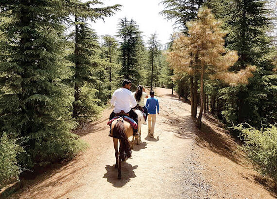 pony-ride-naldehra (1) pony-ride-naldehra (1)