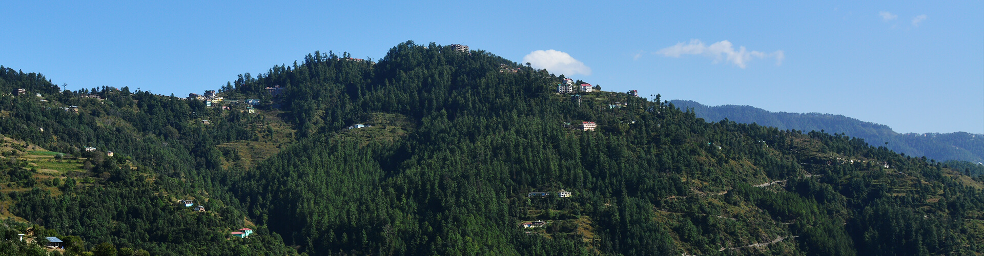 neighbourhood-auramah-valley-naldehra-shimla neighbourhood-auramah-valley-naldehra-shimla