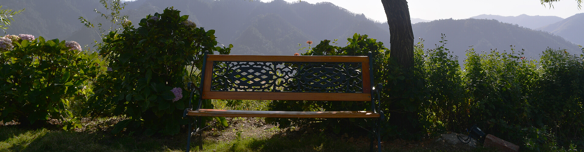 privacy-policy-auramah-valley-shimla privacy-policy-auramah-valley-shimla
