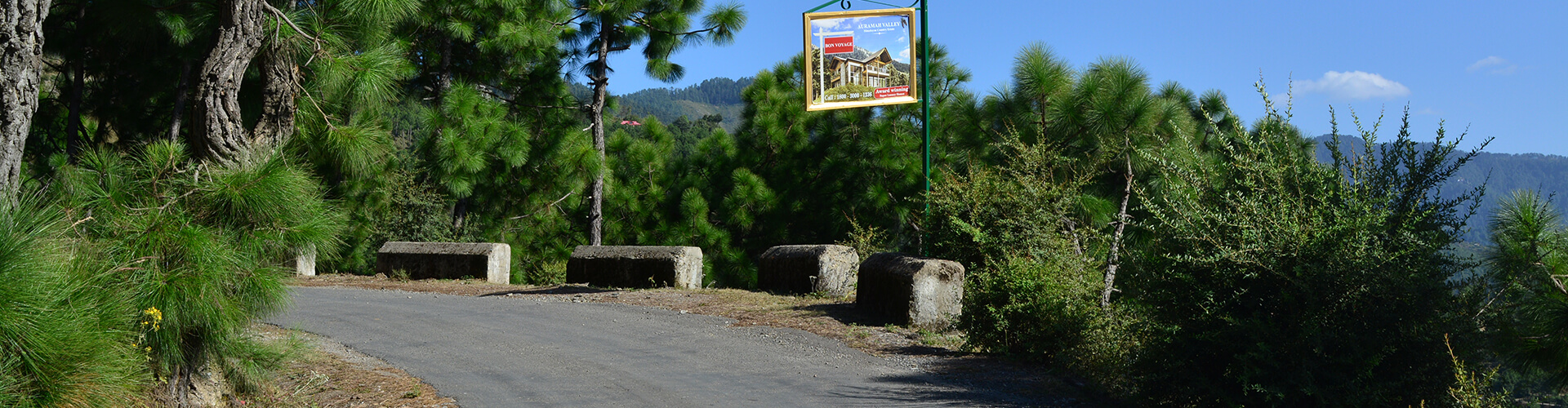 road-to-auramah-valley-naldehra-shimla road-to-auramah-valley-naldehra-shimla